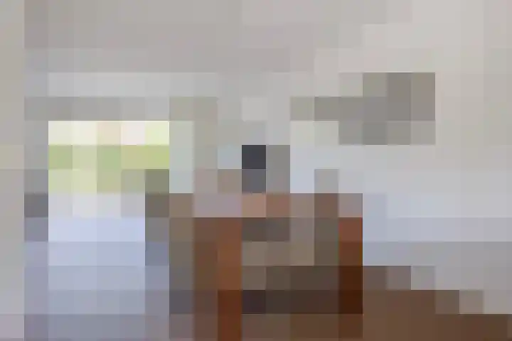 Dobbehôf 27 Goutum thumbnail 21