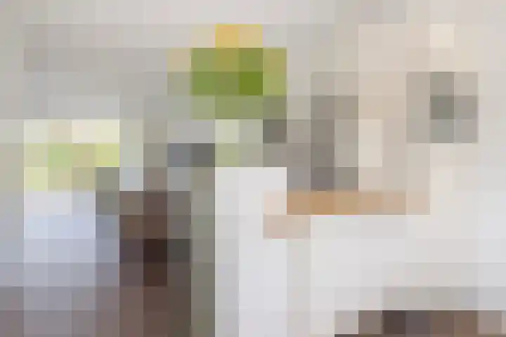 Dobbehôf 27 Goutum thumbnail 24