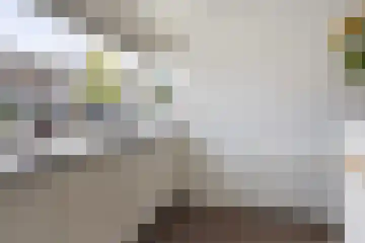 Dobbehôf 27 Goutum thumbnail 25