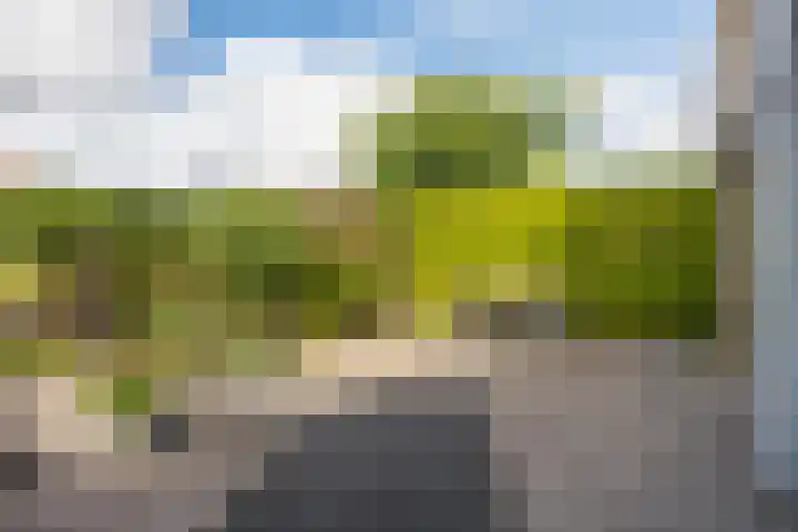 Dobbehôf 27 Goutum thumbnail 28