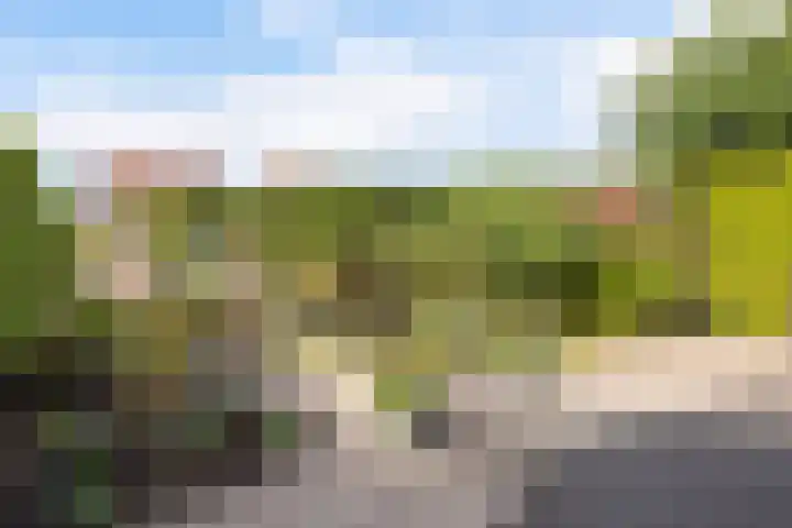 Dobbehôf 27 Goutum thumbnail 29
