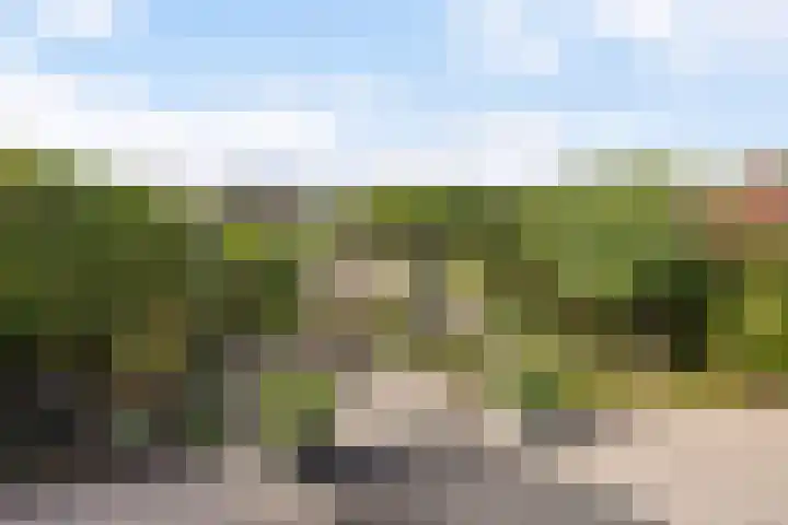 Dobbehôf 27 Goutum thumbnail 30