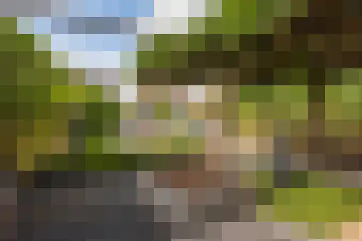Dobbehôf 27 Goutum thumbnail 31