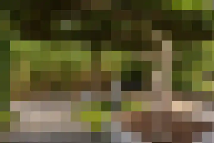 Dobbehôf 27 Goutum thumbnail 32