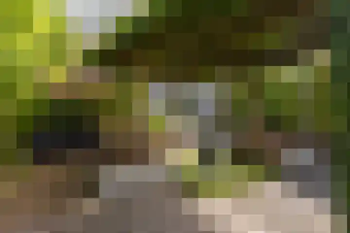 Dobbehôf 27 Goutum thumbnail 34