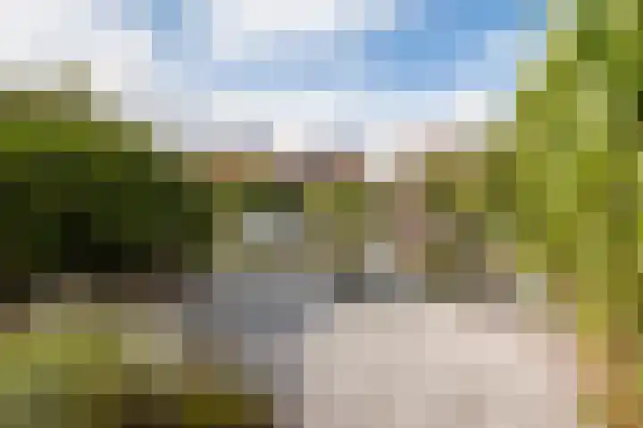 Dobbehôf 27 Goutum thumbnail 35