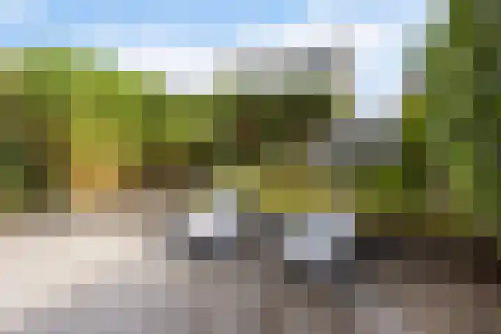 Dobbehôf 27 Goutum thumbnail 37