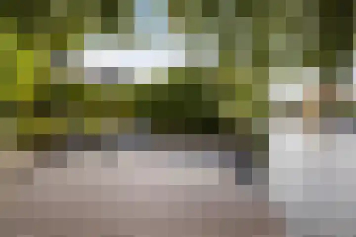 Dobbehôf 27 Goutum thumbnail 38
