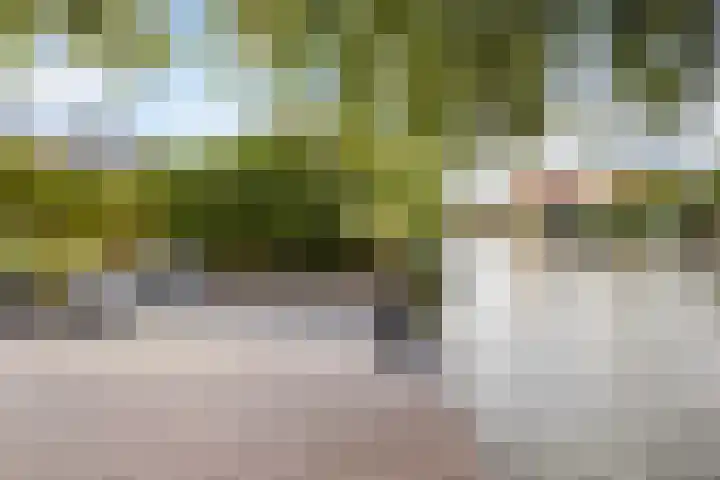 Dobbehôf 27 Goutum thumbnail 39