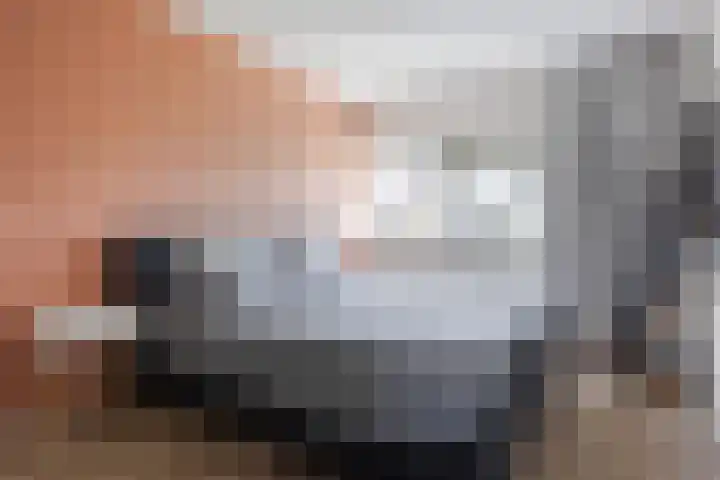 Dobbehôf 27 Goutum thumbnail 42