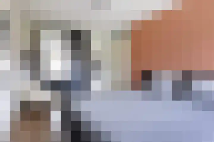 Dobbehôf 27 Goutum thumbnail 43