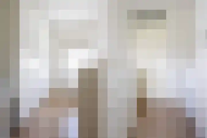 Dobbehôf 27 Goutum thumbnail 49