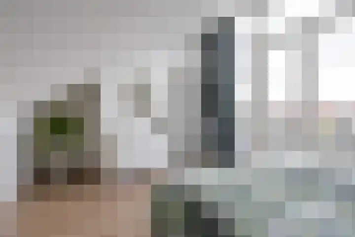 Dobbehôf 27 Goutum thumbnail 51