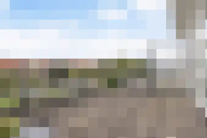 Dobbehôf 27 Goutum thumbnail 53