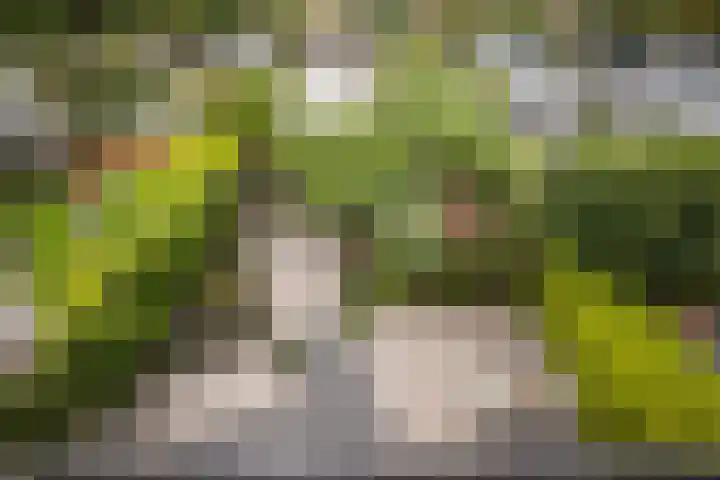 Dobbehôf 27 Goutum thumbnail 54