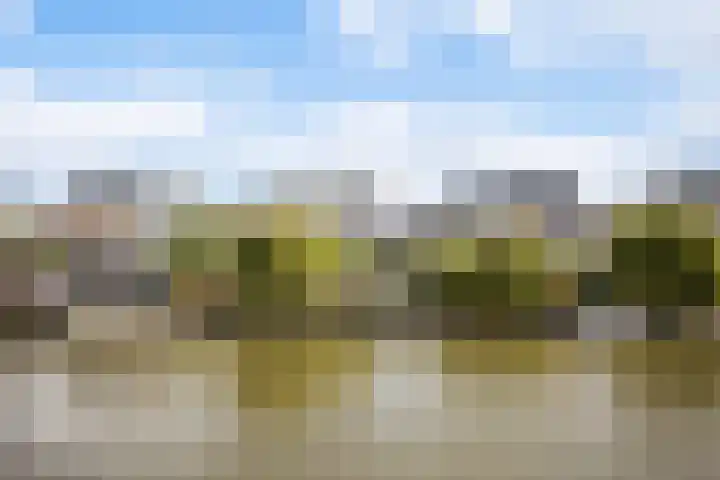 Dobbehôf 27 Goutum thumbnail 56