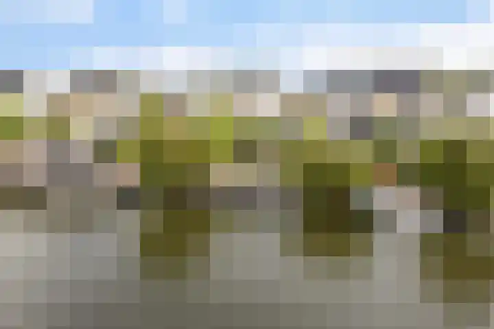 Dobbehôf 27 Goutum thumbnail 57