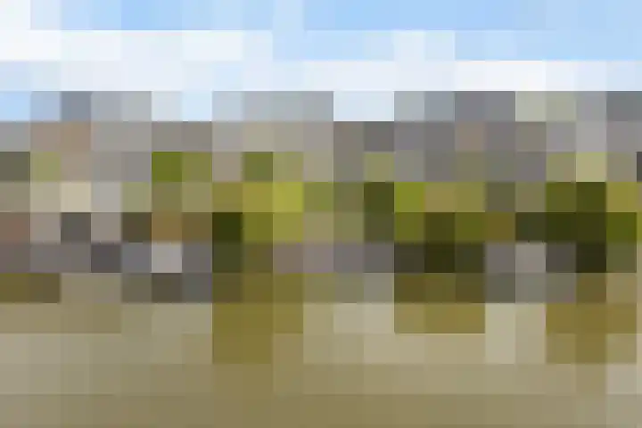 Dobbehôf 27 Goutum thumbnail 58