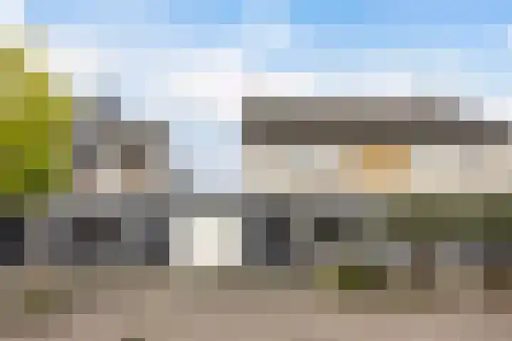 Dobbehôf 27 Goutum thumbnail 7