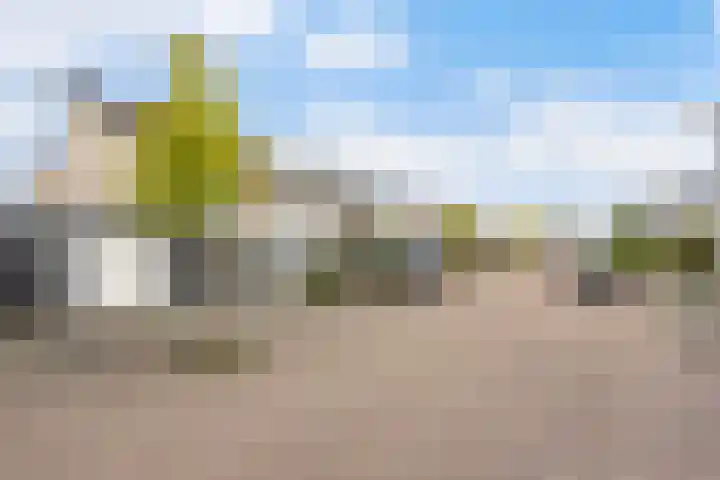 Dobbehôf 27 Goutum thumbnail 8
