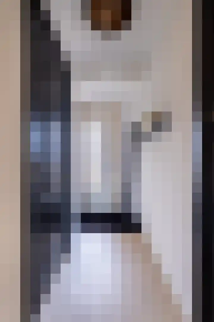 Dobbehôf 4 Goutum thumbnail 11