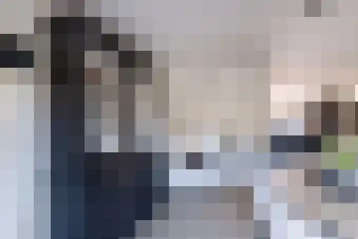 Dobbehôf 4 Goutum thumbnail 15