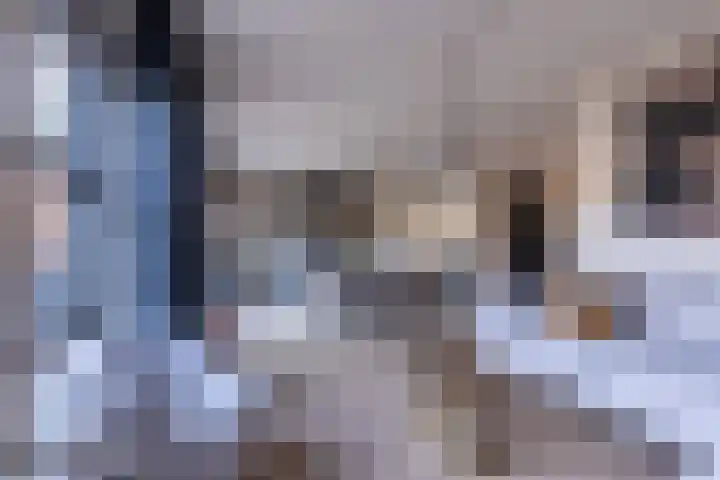 Dobbehôf 4 Goutum thumbnail 20