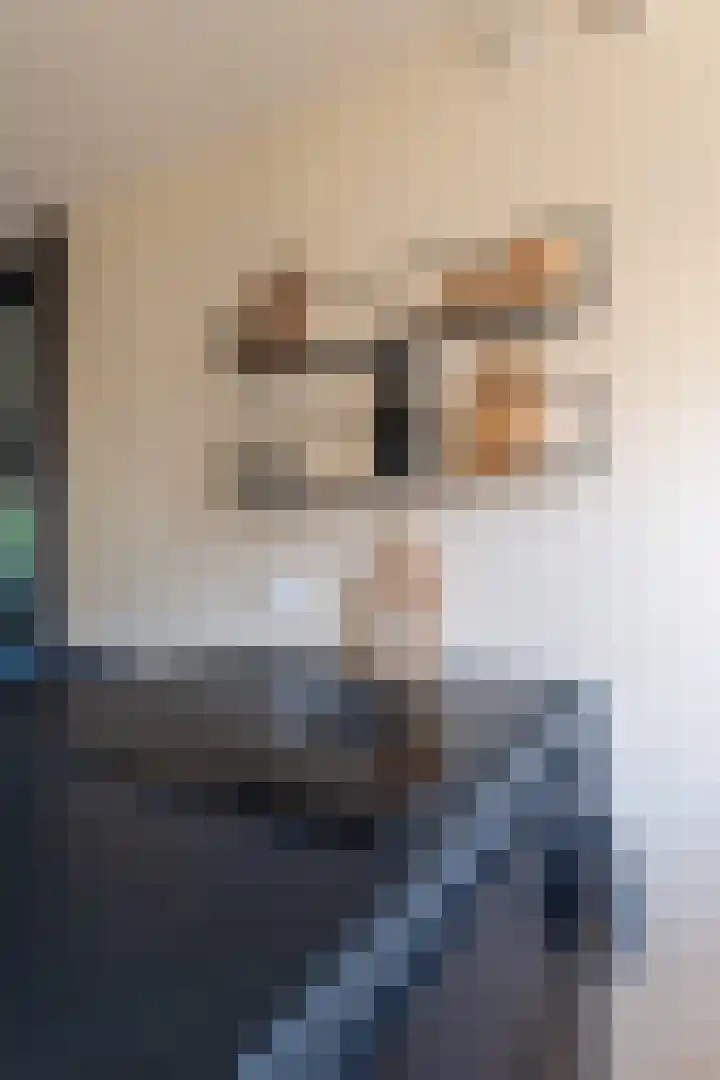 Dobbehôf 4 Goutum thumbnail 25