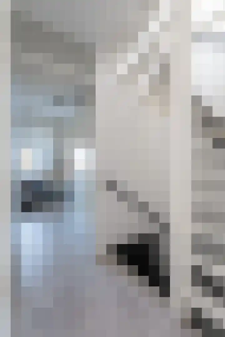 Dobbehôf 4 Goutum thumbnail 27