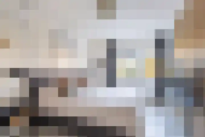 Dobbehôf 4 Goutum thumbnail 28
