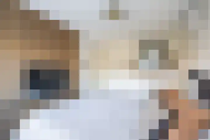 Dobbehôf 4 Goutum thumbnail 29