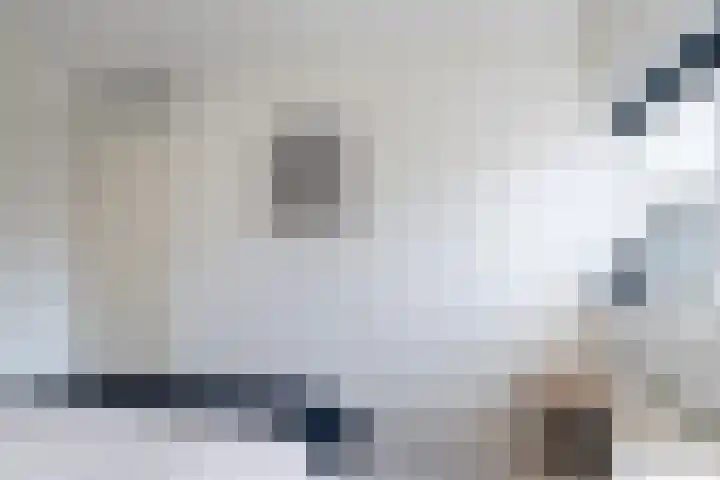 Dobbehôf 4 Goutum thumbnail 32