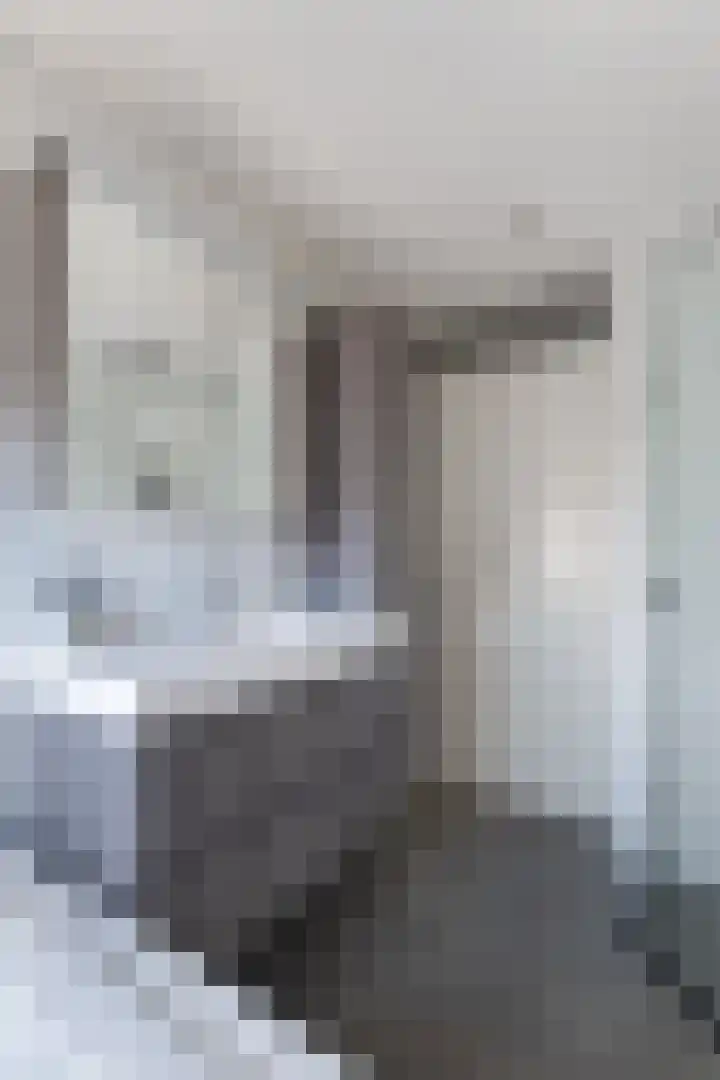 Dobbehôf 4 Goutum thumbnail 38
