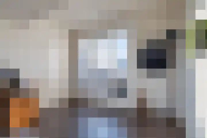 Dobbehôf 4 Goutum thumbnail 40