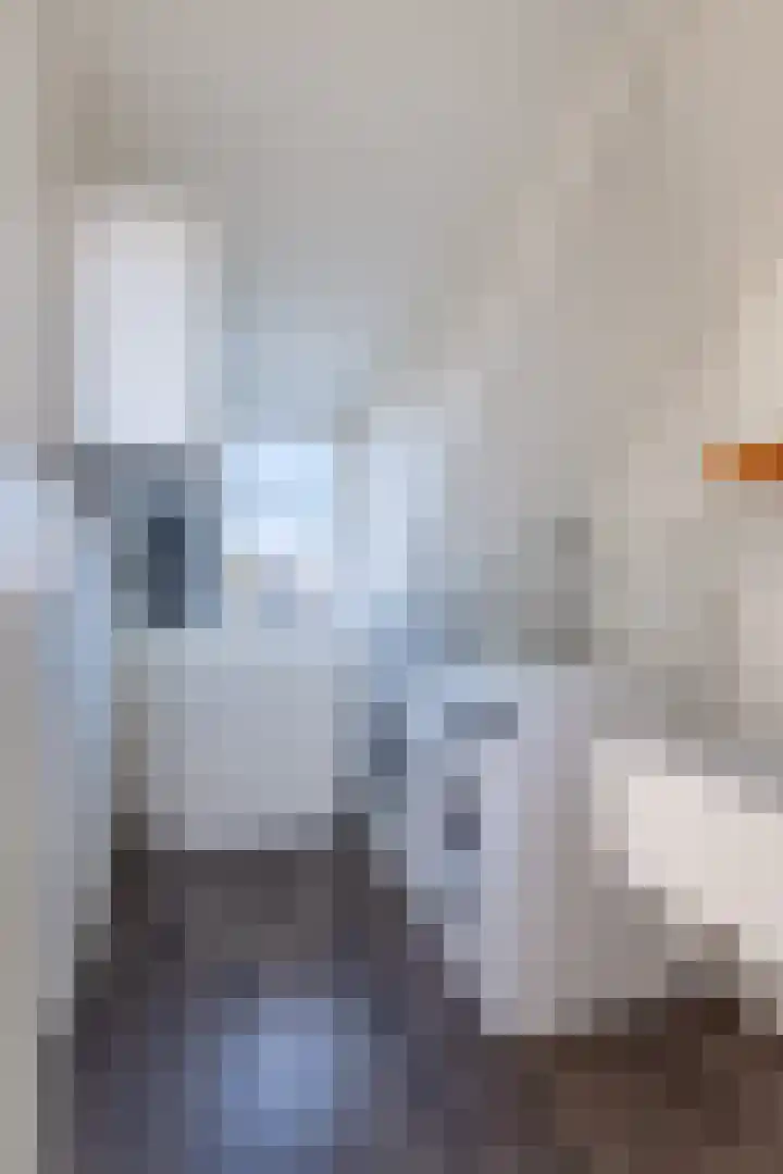 Dobbehôf 4 Goutum thumbnail 41
