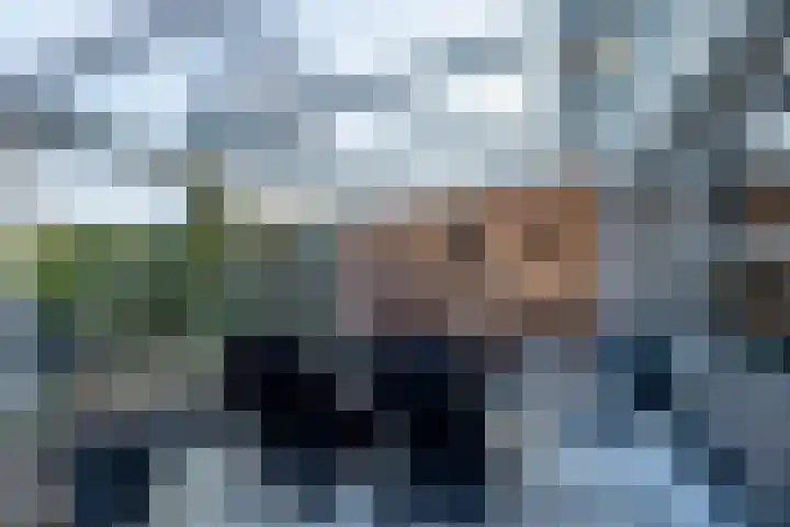 Dobbehôf 4 Goutum thumbnail 44