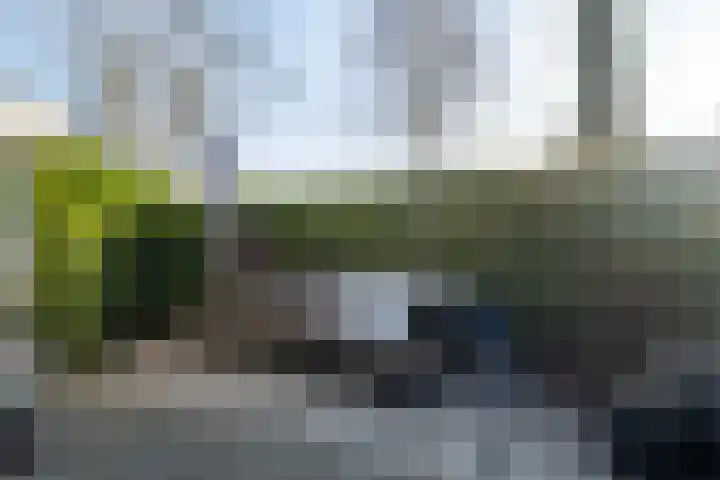 Dobbehôf 4 Goutum thumbnail 48