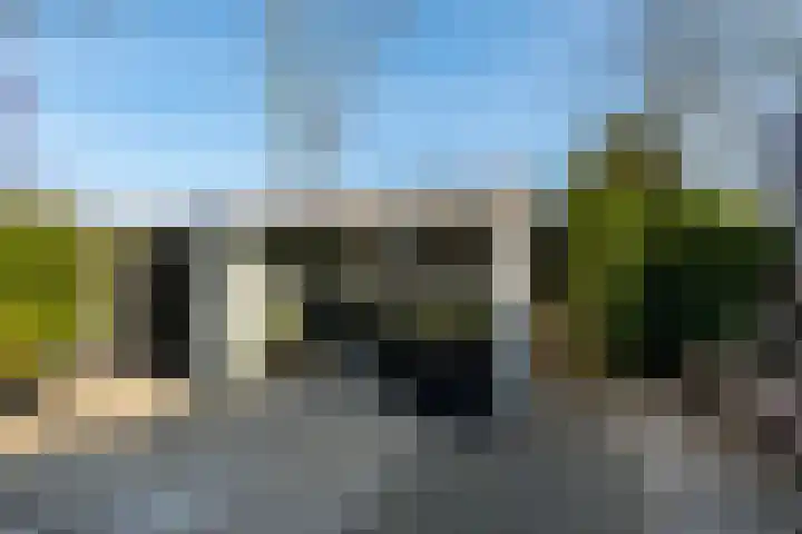 Dobbehôf 4 Goutum thumbnail 49