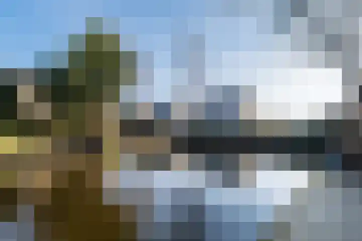 Dobbehôf 4 Goutum thumbnail 52