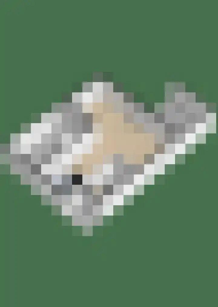 Dobbehôf 4 Goutum thumbnail 56