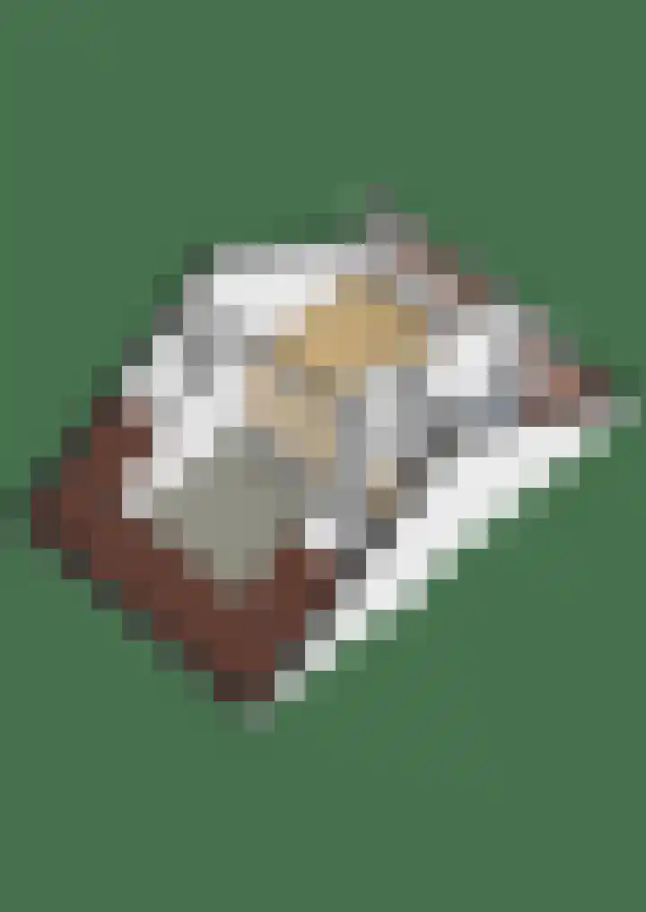 Dobbehôf 4 Goutum thumbnail 60