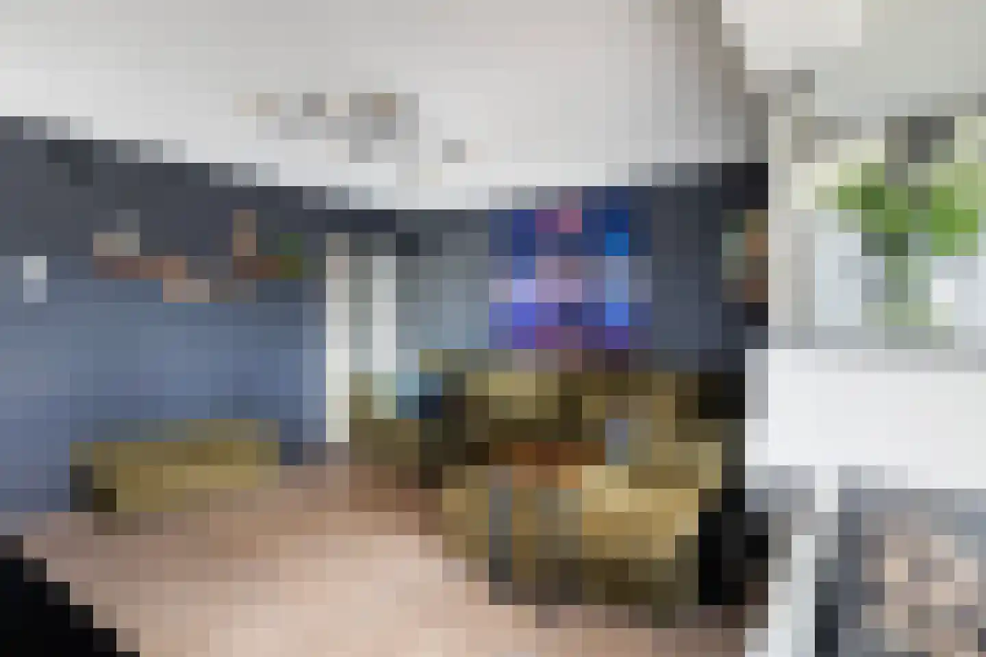 Dobbehôf 51 Goutum thumbnail 18