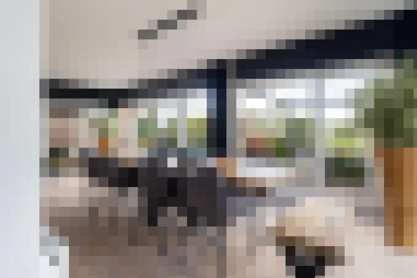 Dobbehôf 51 Goutum thumbnail 22