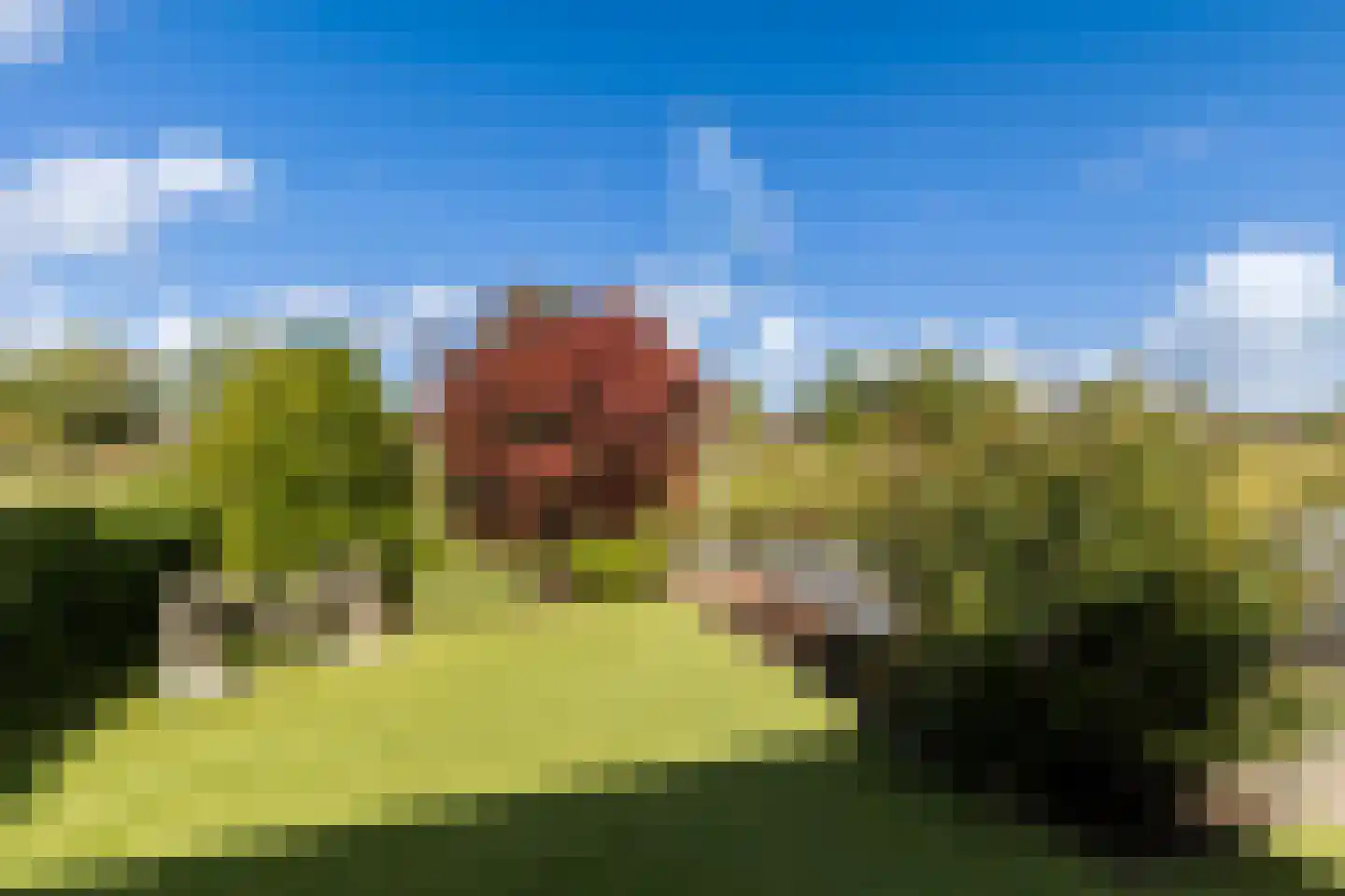 Dobbehôf 51 Goutum thumbnail 28