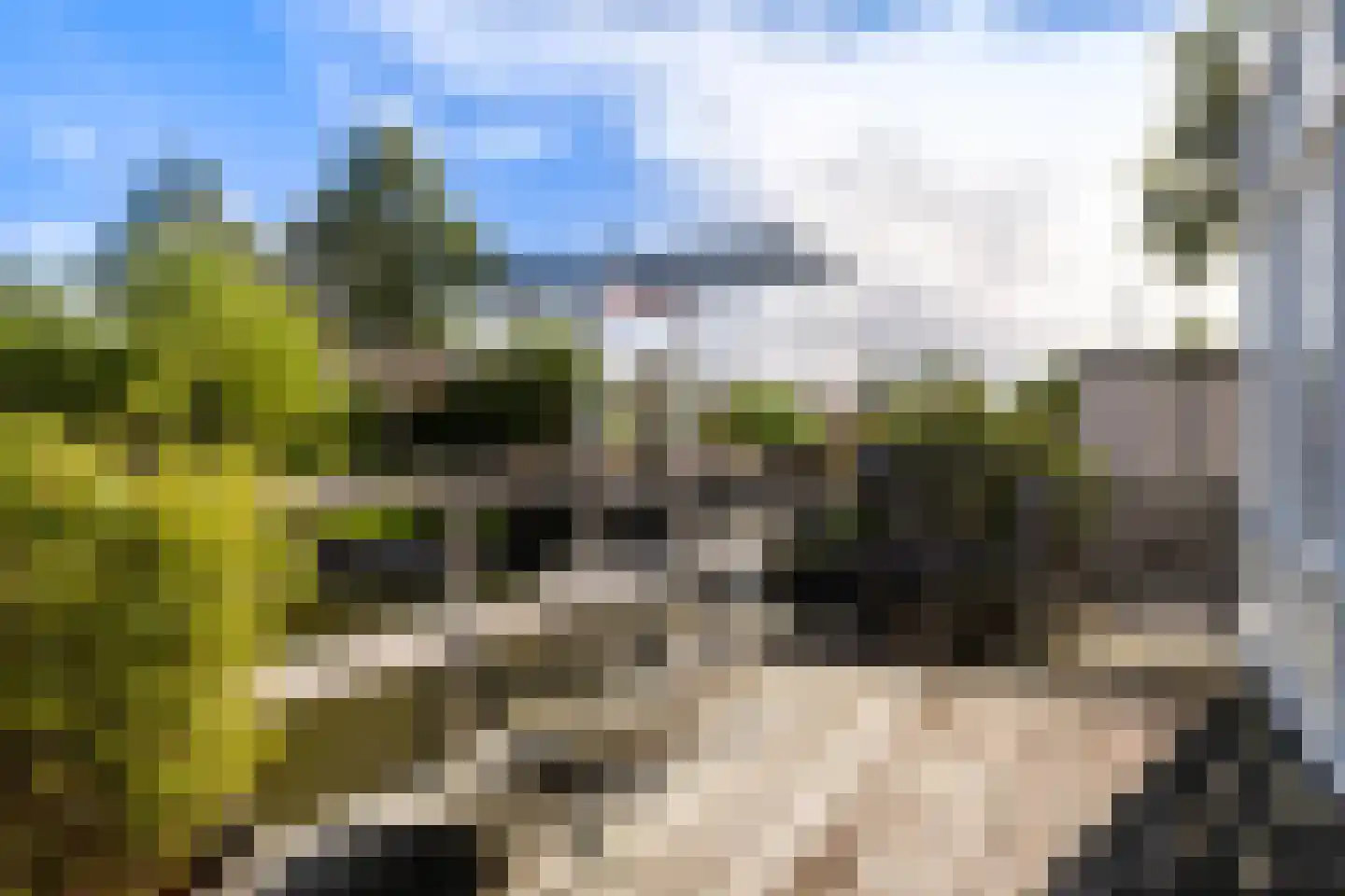 Dobbehôf 51 Goutum thumbnail 30