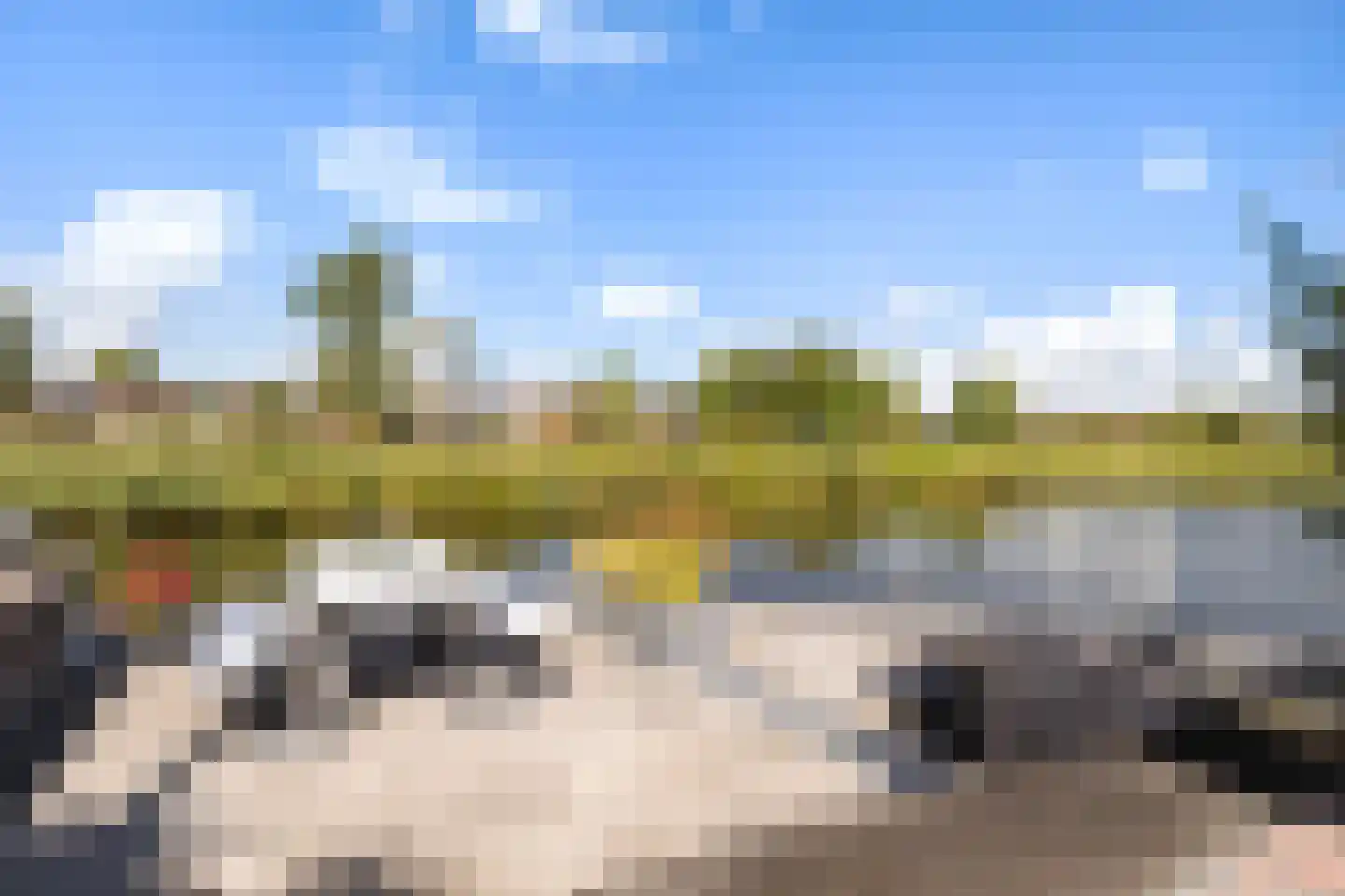 Dobbehôf 51 Goutum thumbnail 31