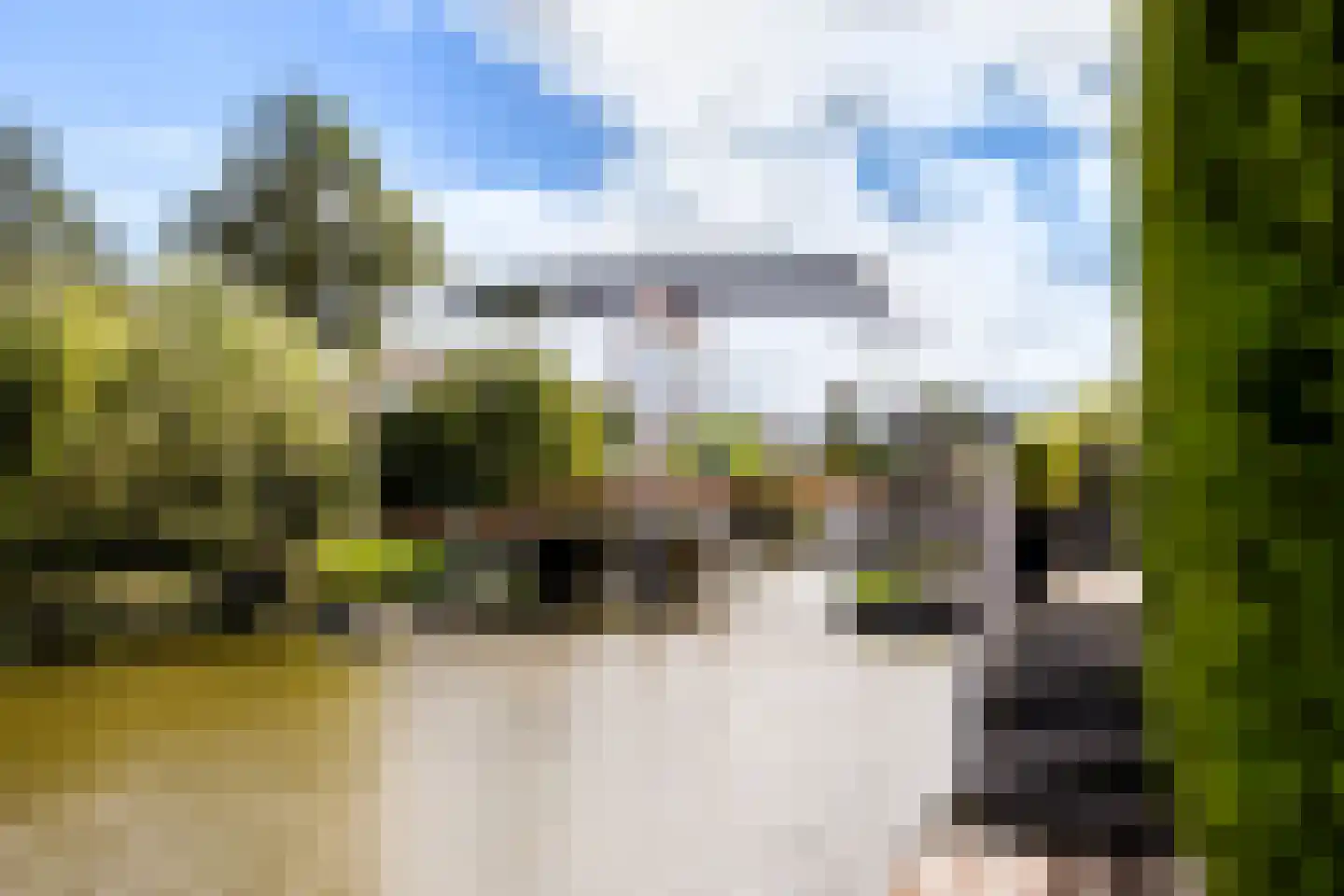 Dobbehôf 51 Goutum thumbnail 35
