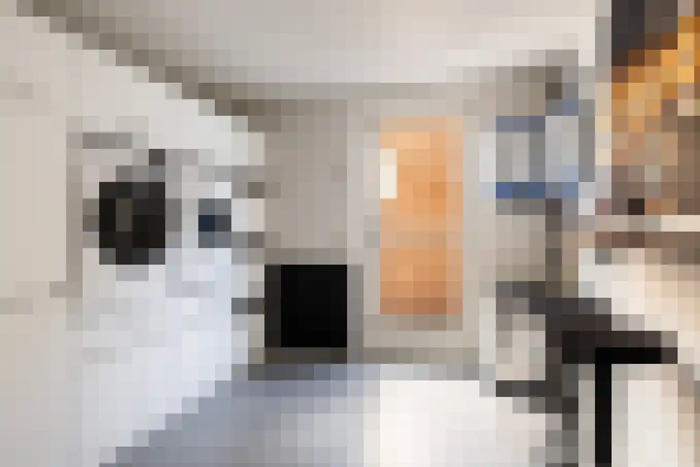 Dobbehôf 51 Goutum thumbnail 37