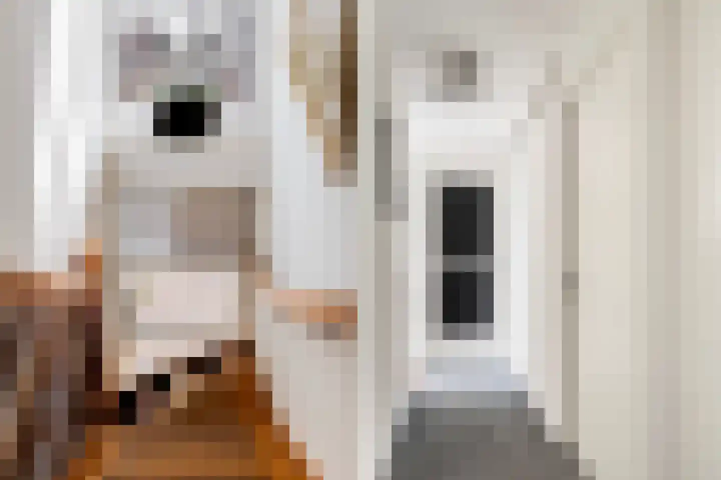 Dobbehôf 51 Goutum thumbnail 38