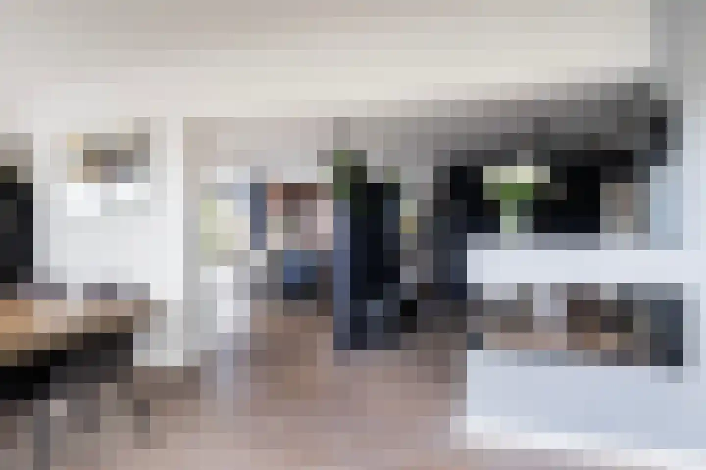 Dobbehôf 51 Goutum thumbnail 4